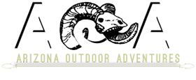Promoting Healthy Outdoor Activities